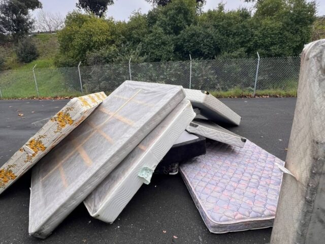 Junk Removal in Fremont